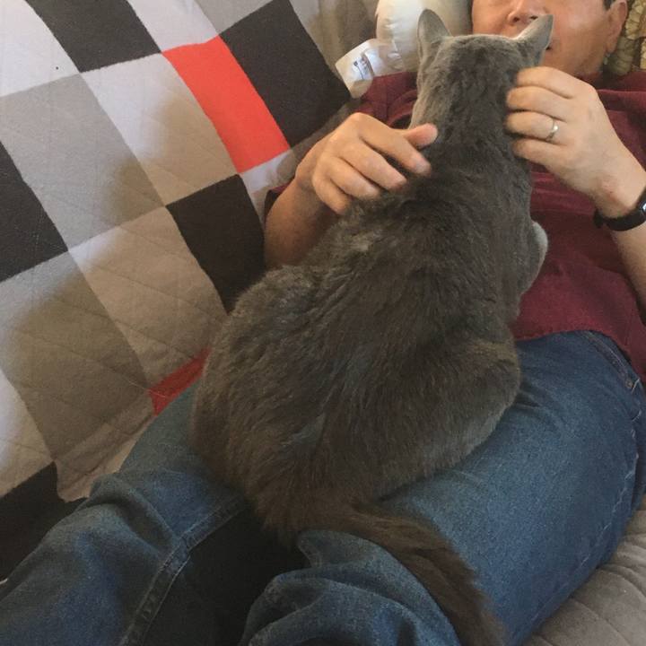 11b842ba 0f9b 4c2b a51f f43292b3104b 1651018132276