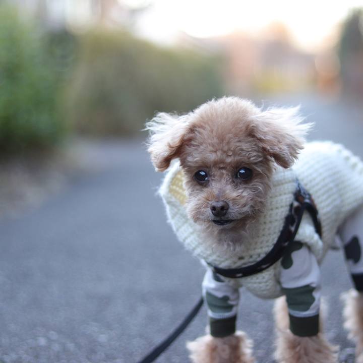 11b845d4 1e0a 458f a0ce d1892c729339 1665062076864