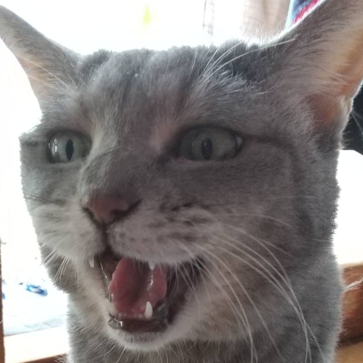 11b88e4b 12a5 4016 bcc1 d166ffb300e8 1599949821819