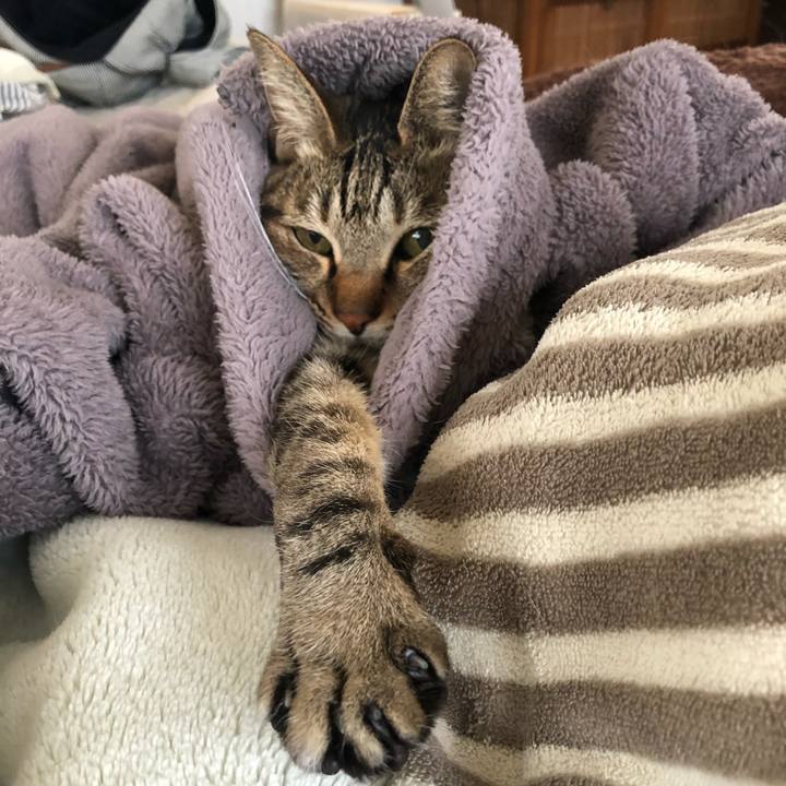 11b8b26a 9e14 491e 8aa8 7fe5d15e6184 1648308844220