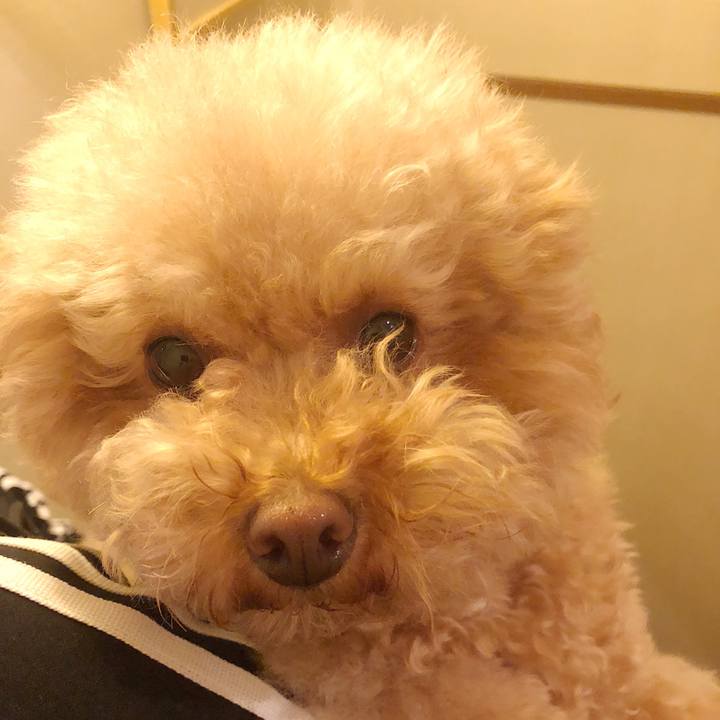 11b8cfce 1dca 4a1b 8bd2 d068f79fab61 1507675085641