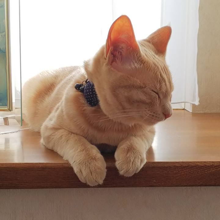 11b8d311 84b2 46ff b2c7 755d6fedb5c6 1546734732187