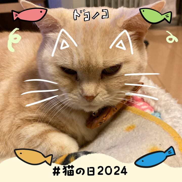 11b8f59c 7c21 4f14 a711 061a0a81293f 1708609763400