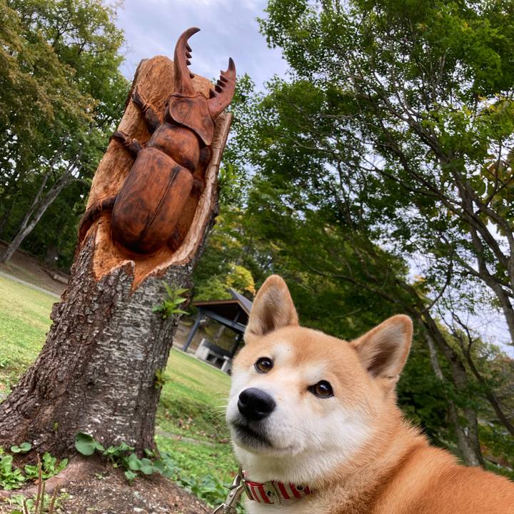 11b9063f 17f0 4afd 8c83 7cbf48d5022d 1665557117410