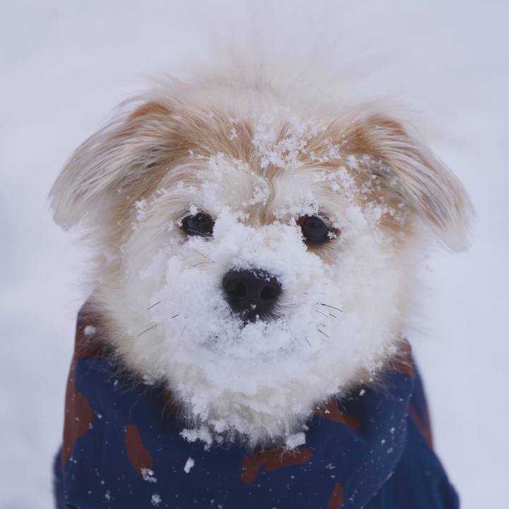 11b90aa9 8f4b 497a bcbf 69dcb2afc2d3 1767434440198