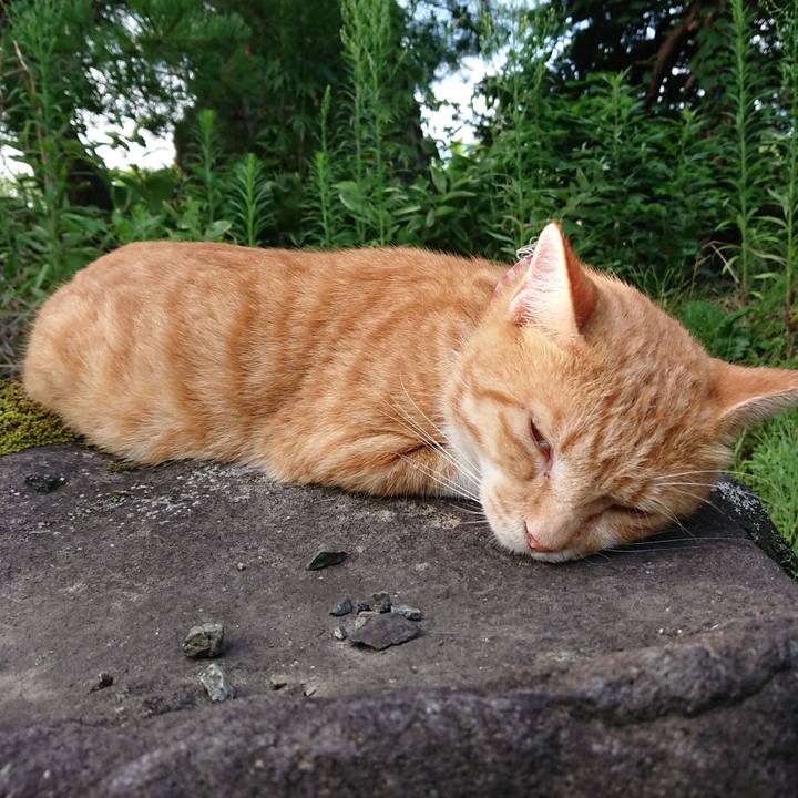 11b92c05 336e 4fe4 8050 8dceb90bddc1 1566081071333