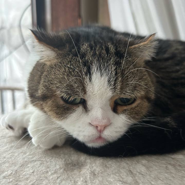 11b93fe2 d313 4edd 8af8 1860c4b58599 1759103452314