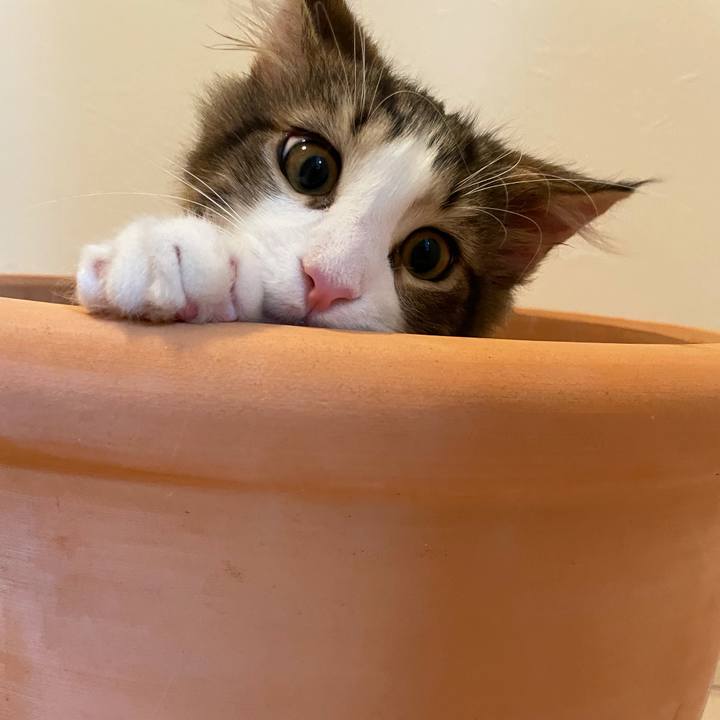 11b95e2f fc56 4205 804c 1f1391747496 1634551685626