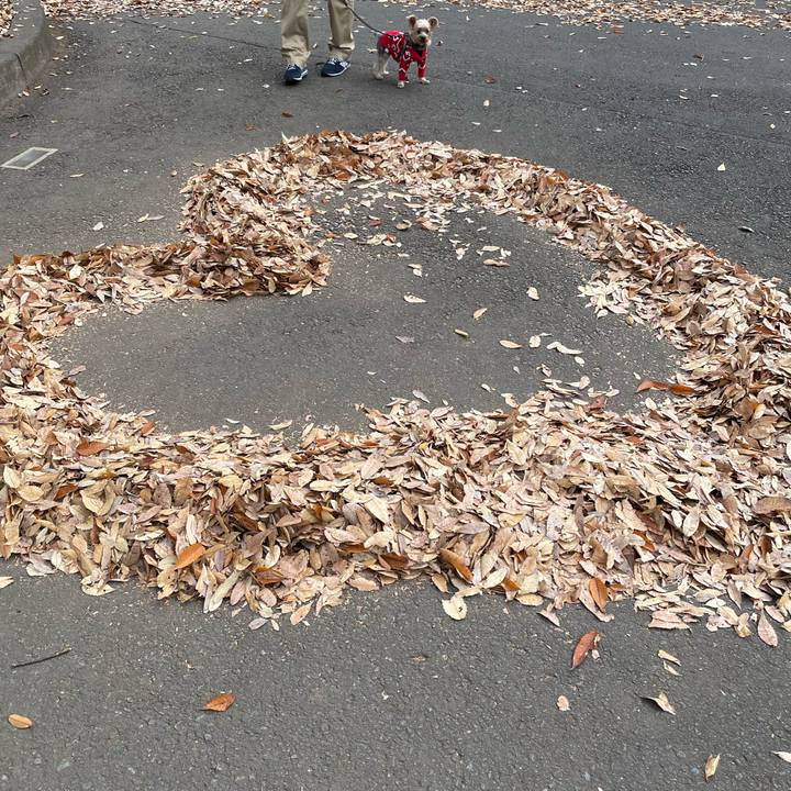 11b9df99 2193 4c0c b877 420805f36daa 1763272365075