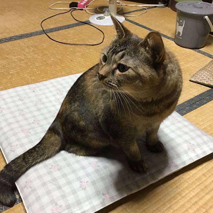 11b9e7d7 d803 46bb bad9 63e3370cb881 1783945308376