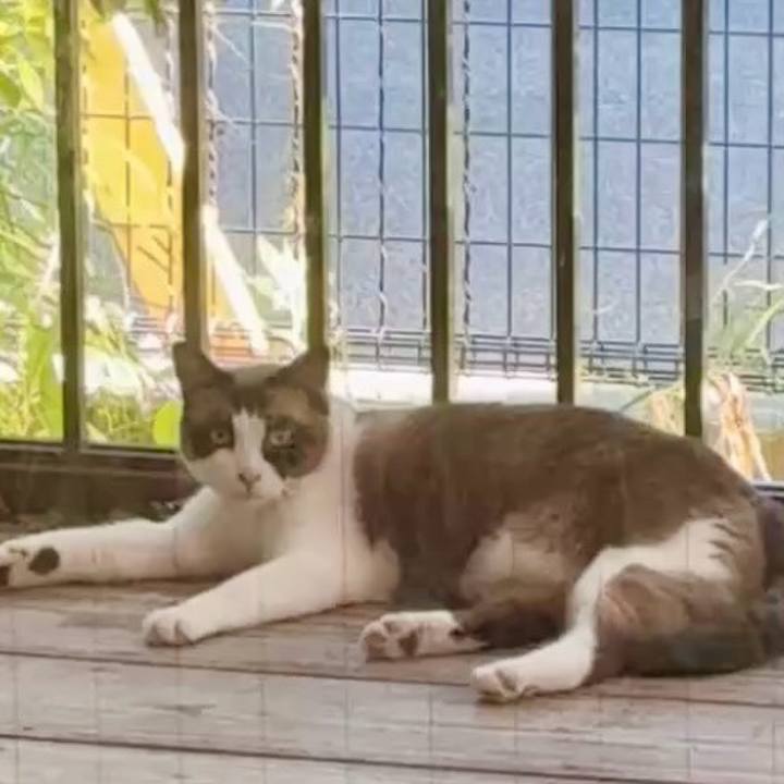 11b9ff12 ed37 42d6 a69c c7829ebe2a0d 1754127765473