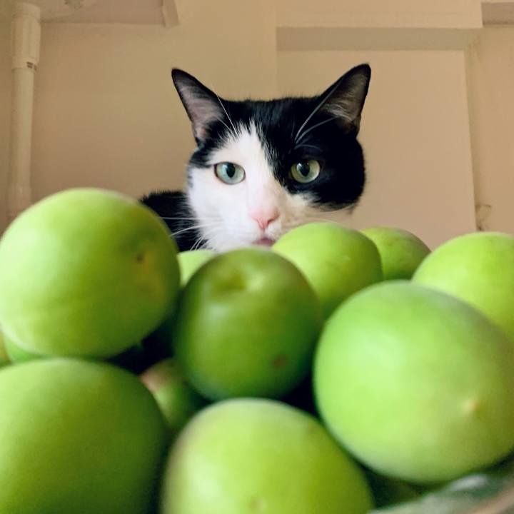 11ba4743 06e7 46b4 aade 1c4691c695f8 1686525791981