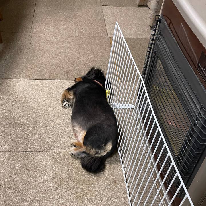 11baab06 c7c0 4678 b098 b394b3803348 1634814224653