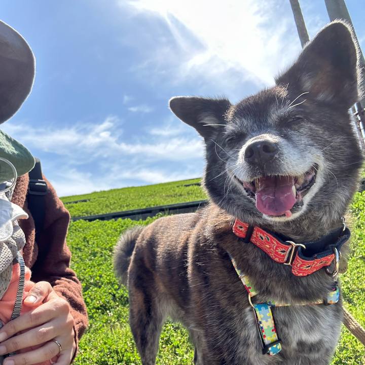 11bac4a8 37b8 4f0e ba0c 0f58b0a3f079 1714660879424