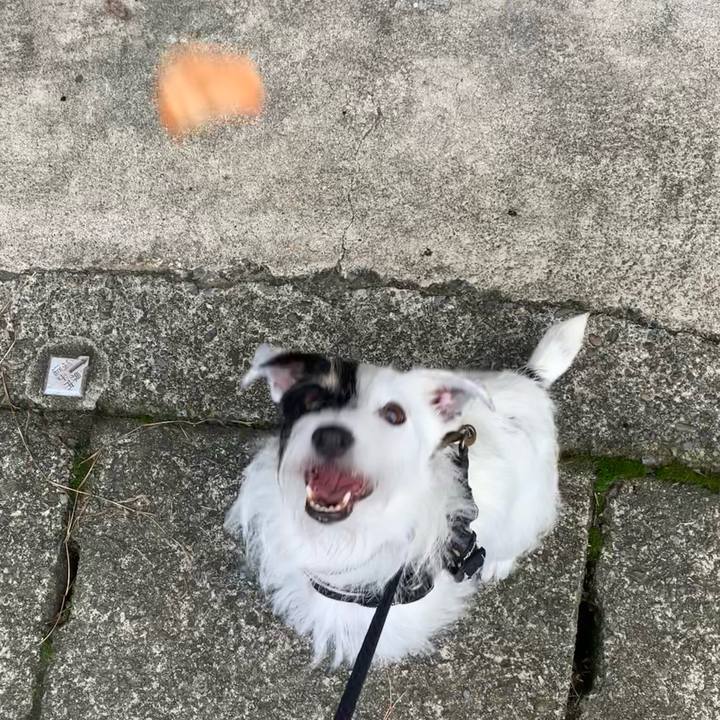 11badb49 0244 46e0 b73e c75343e90dc0 1694299999354