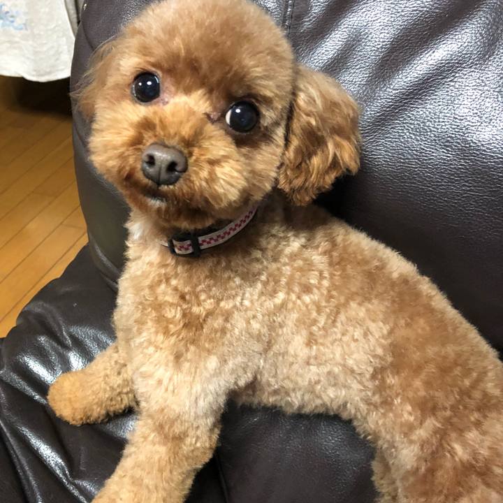 11baec2a 4f27 49e2 aed7 286605a60def 1550362121030