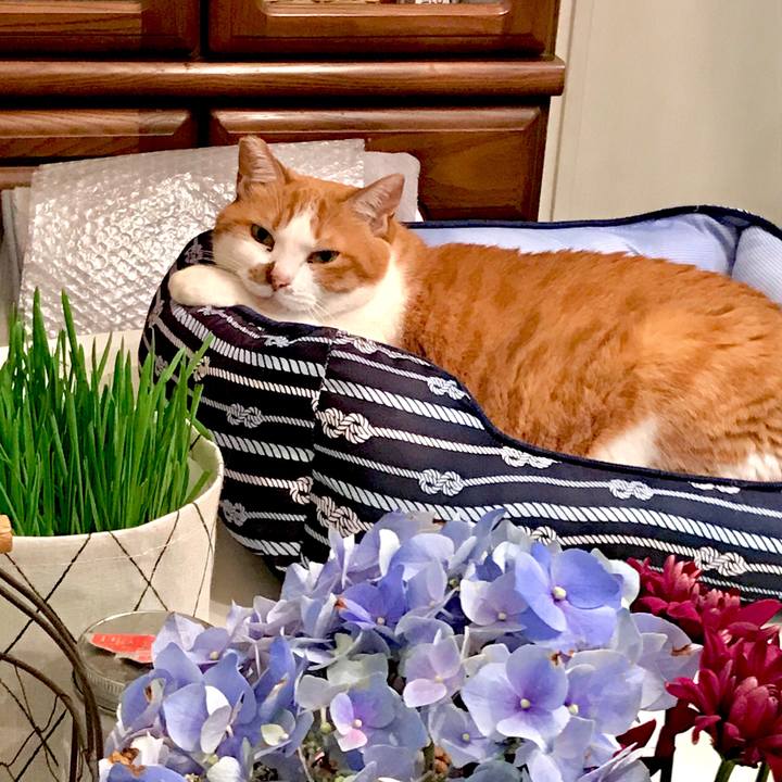 11baec73 9cf1 46de a8db 69eccfda94c9 1593586665318