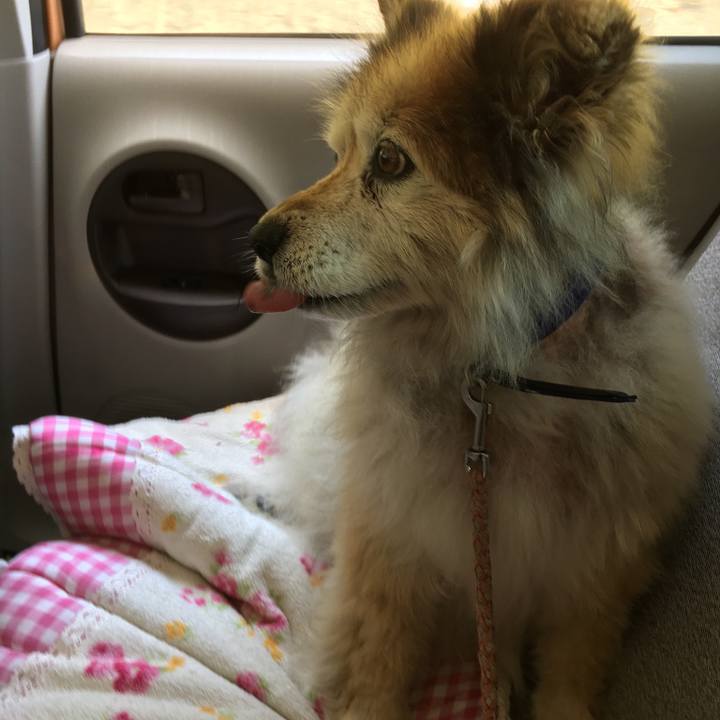 11baf313 f2ef 4723 9d8d 4c06b3c79cce 1587085560132