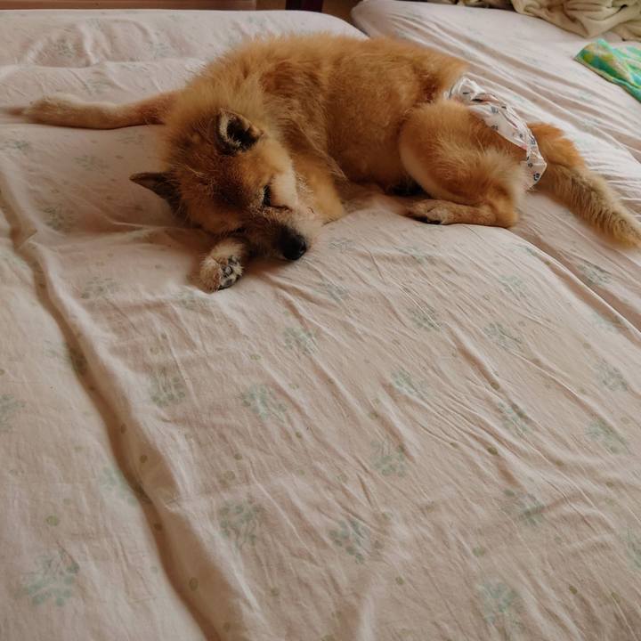 11bb060e 5fcb 4505 85e6 04a9616ef3d8 1630195122650