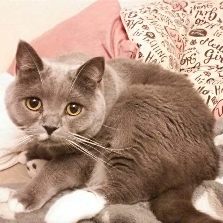 11bb1a74 08cd 4c5a 92c9 f8f4385b4264 1579299358828