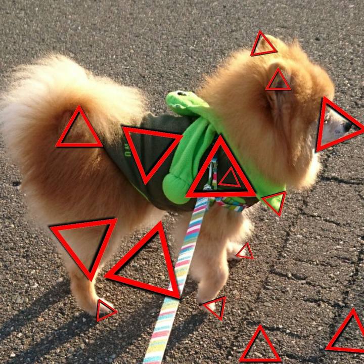 11bb3cb6 d4e7 4963 a879 e998de48ebb3 1553209028152