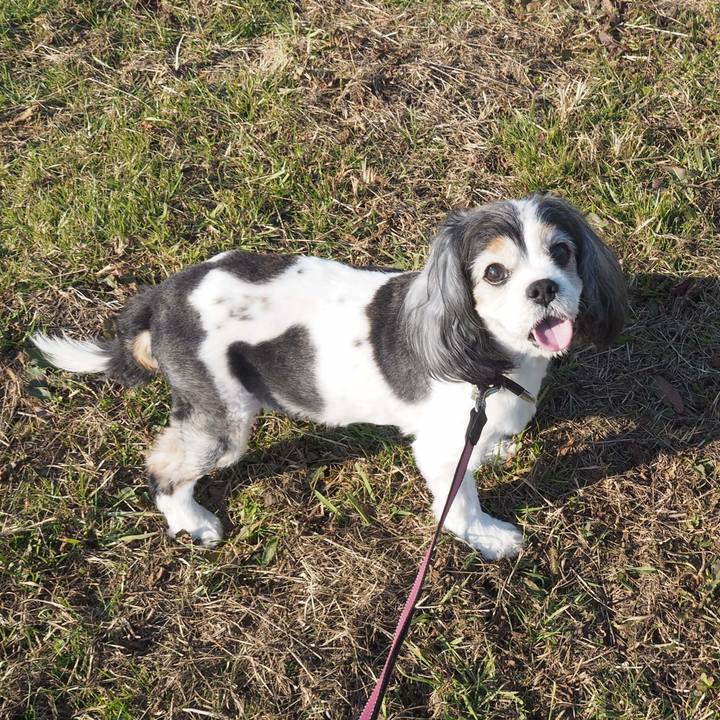 11bb3e1e b1ff 4476 863f b1eceed3ea06 1576298065539