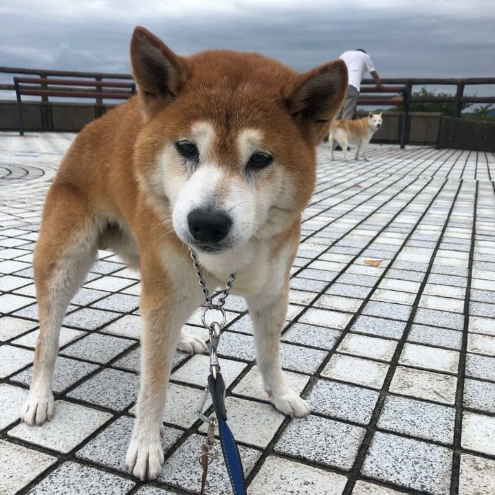 11bb42b6 1851 48ca 80d1 3026fc5a83b2 1600481346990