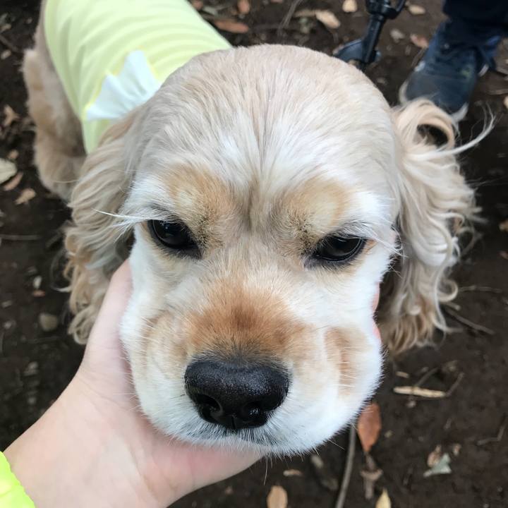 11bb54a7 733b 4b38 93a1 a3c0ea84c1e6 1509338194007