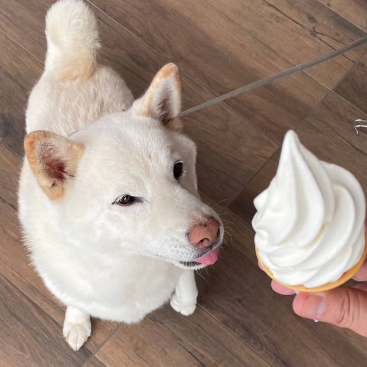 11bb6061 7a13 424e 834d c15560cbdbac 1698553340423