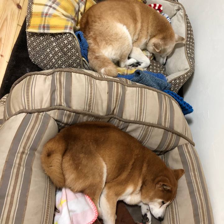 11bb6e87 d103 444c 9f4b 08ae1172f7ce 1546655566127