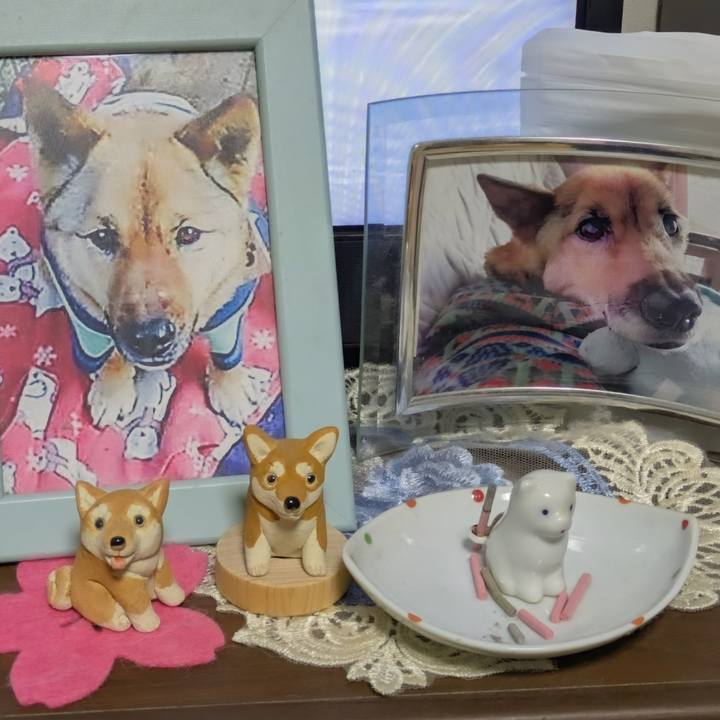 11bb7f83 147f 42e6 a1a0 f365f5181e71 1755080264020