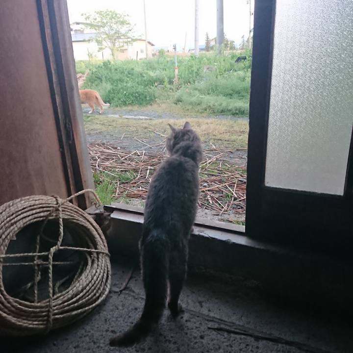 11bb934d 1d60 4edc a620 823611e39160 1589363156538