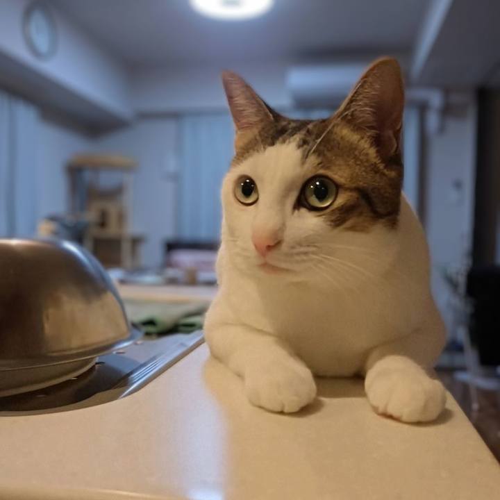 11bb95b3 17cb 4f61 b588 bb7e391ac3e1 1762262110591