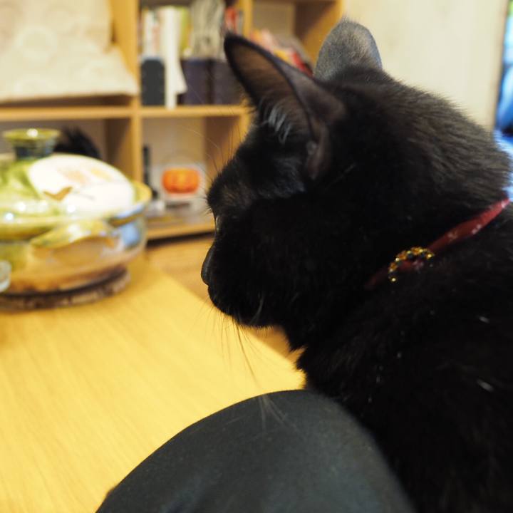 11bba36b 84c1 4499 b6ca f7a38f64dbb0 1539991622008