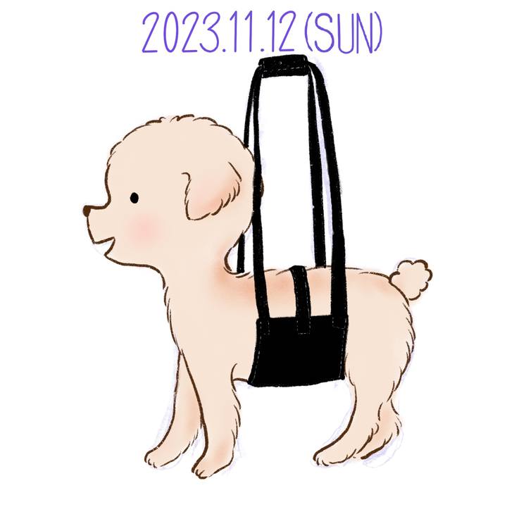 11bba8bc 98d0 425b a0fa 7044c383feb2 1699787963933