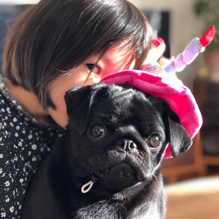 11bbe86a 6f4a 4b7b 8835 925d3b0c2a2b 1613431248373