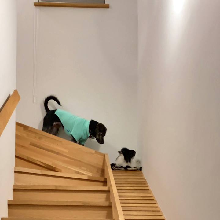 11bbeefc 492c 4708 831f 69e327daab48 1568504728378