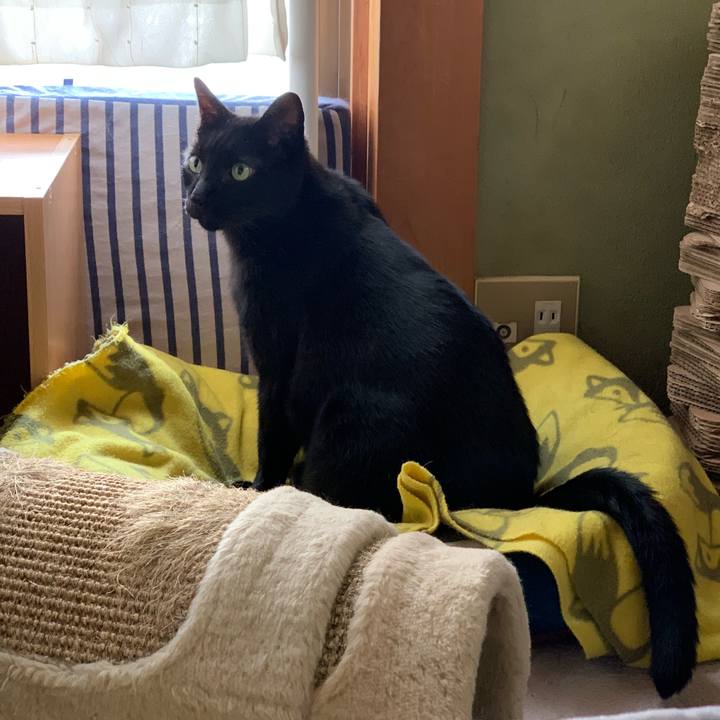 11bc68d3 2c7c 43af a6b0 8fa67b2b72e6 1540346199015