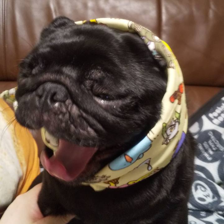 11bc903b 8559 4303 97cf b839248e2cc4 1660050620082