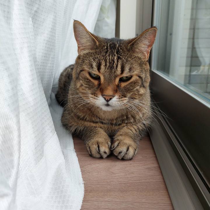 11bc9294 787a 472a b87a 528b7be9e097 1689986308319