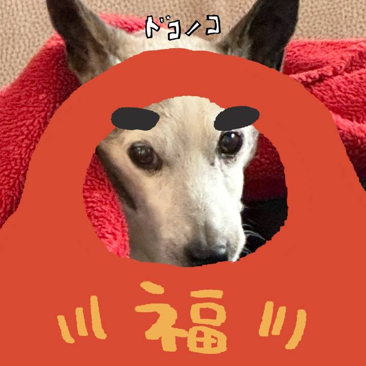 11bcaf8f df91 44d0 9422 8398b978a7df 1771856089875