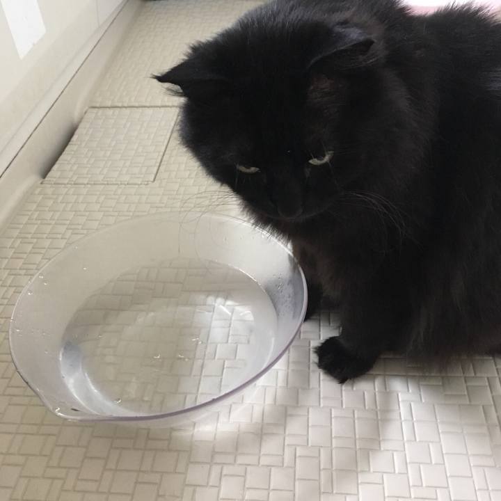 11bcca01 25b0 4f74 b610 cacfd1d8b50d 1557888796255