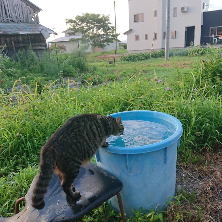 11bcd3b2 ff9b 4d1a bebb 15ca91bd4c81 1659388182923