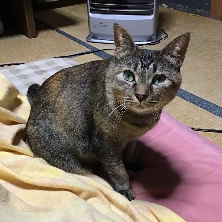 11bceeb2 8c04 41b0 8208 0c800892131a 1672060731747