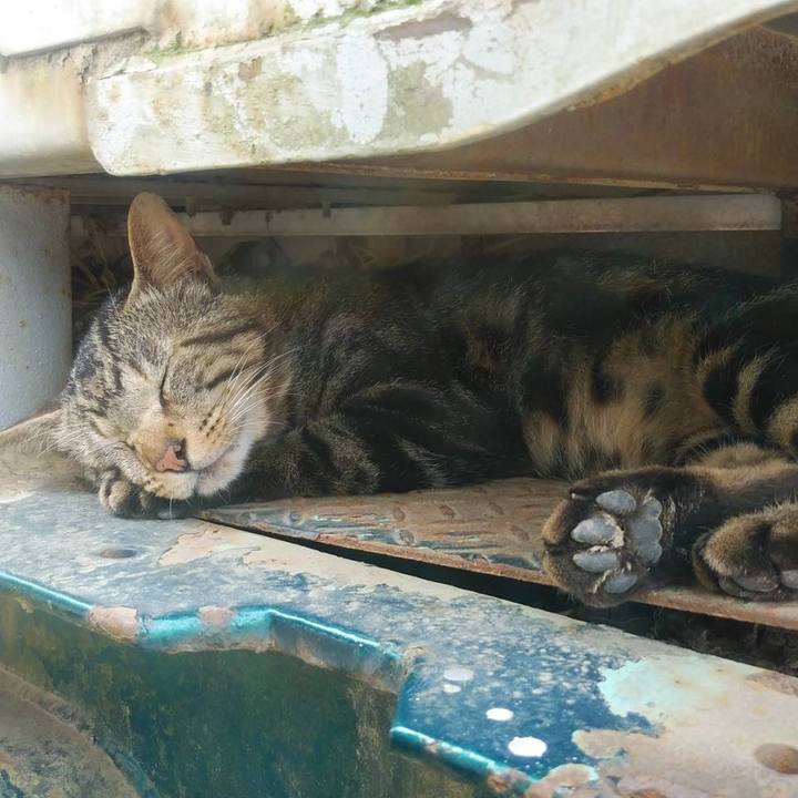 11bd2856 3067 422e bdcb 481da1847412 1592265961075