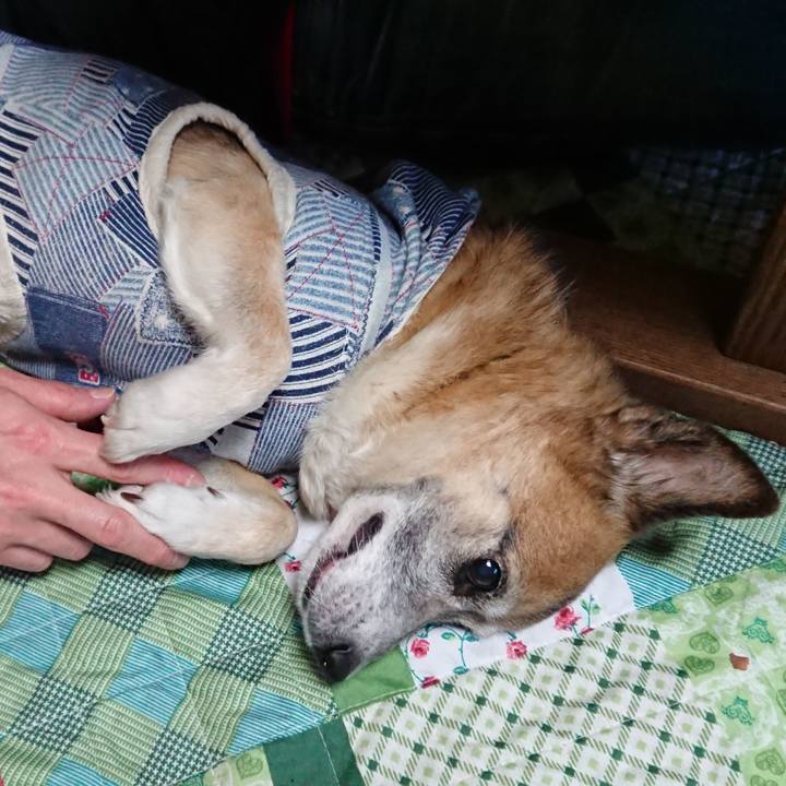 11bdaa0d f3d4 48f6 8c7c 3346facc9a0b 1551536676273