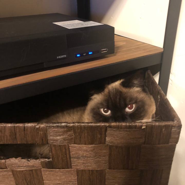 11bdafb6 5bc9 43a4 ba8b e13d4aca3d90 1618459106533