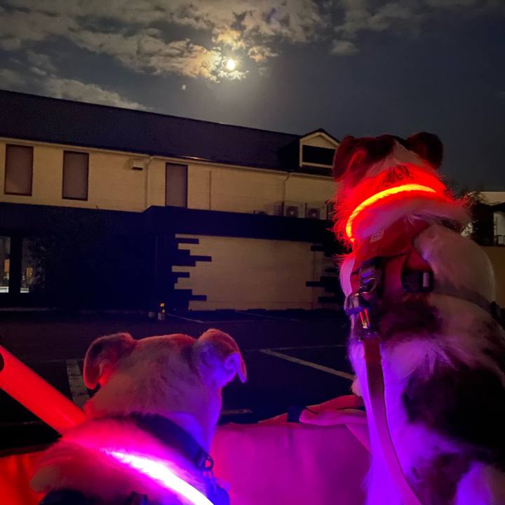 11bdef1a 026f 48cf b325 ee50161028de 1726486217905