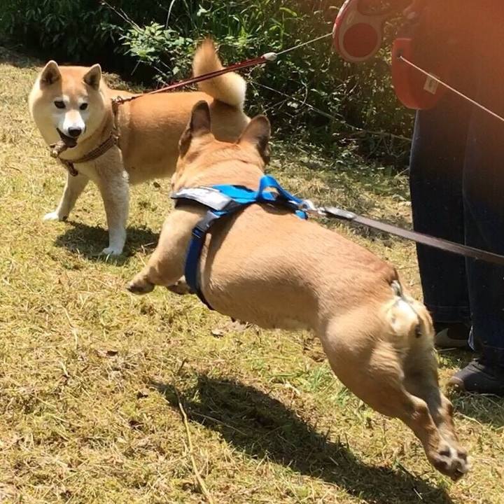 11be44ab 51e0 4956 93e5 b542d8e0d382 1528038484664