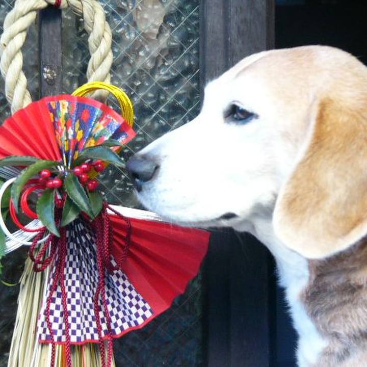 11be4d6f 89a3 4d04 8cdf 3b827088cf47 1675129071026